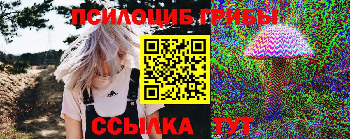 Галлюциногенные грибы Cubensis Липецк