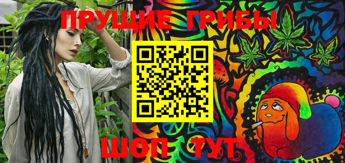 хочу   Липецк  Галлюциногенные грибы GOLDEN TEACHER 